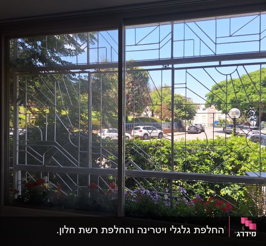 חלון עם סורגים ונוף חיצוני של עצים ומכוניות